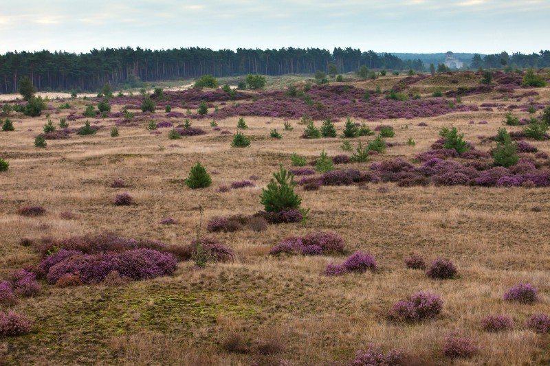 Garage Radio Kootwijk