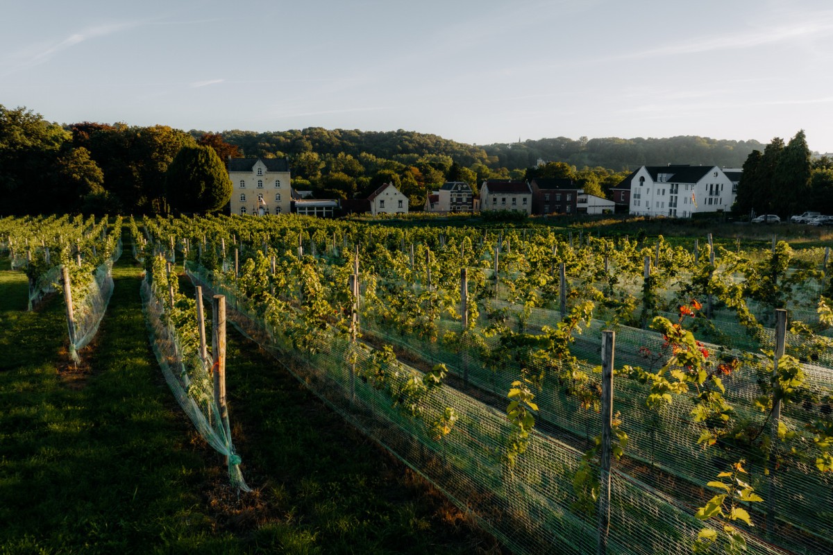 Château St. Gerlach