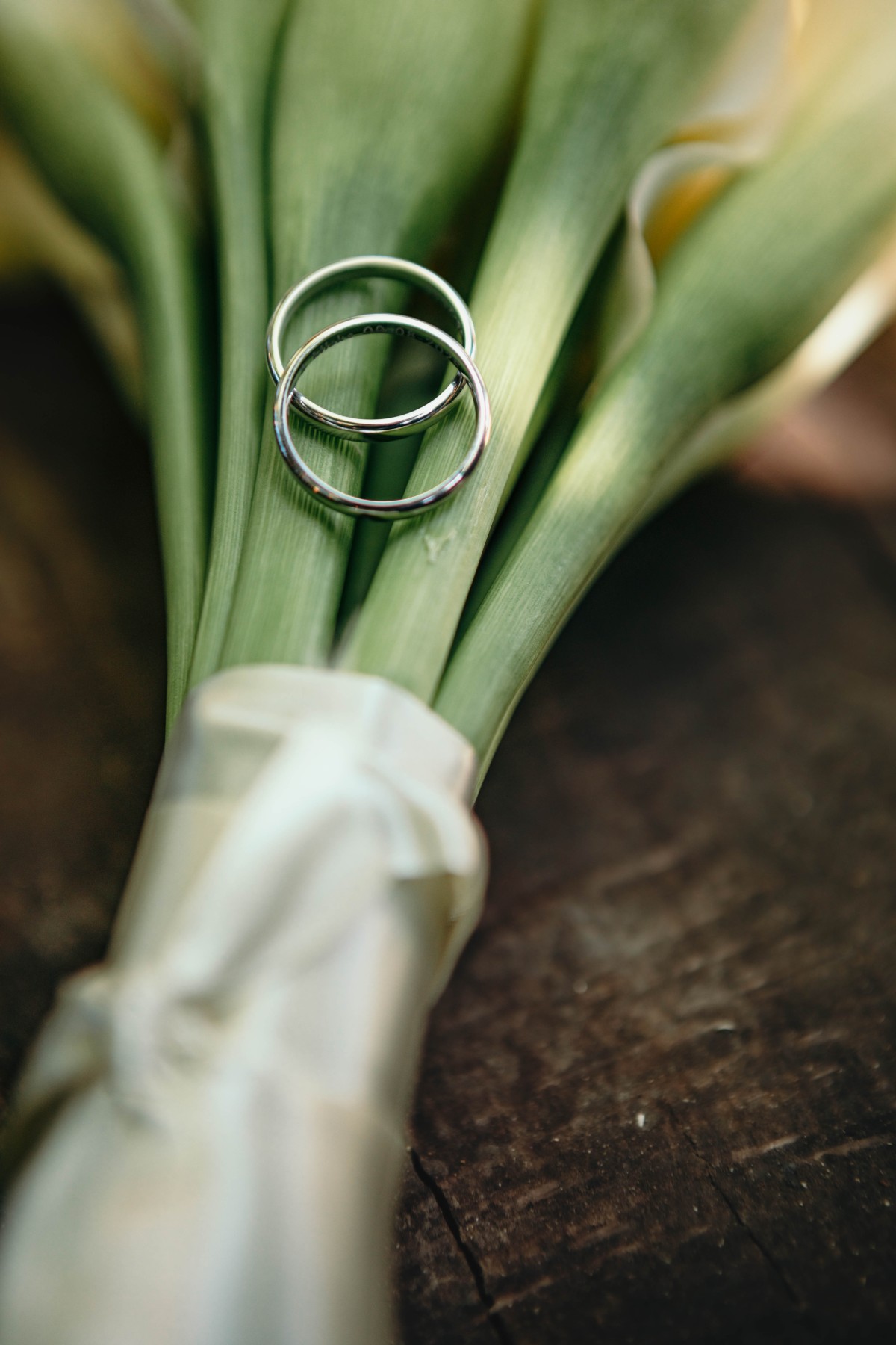 Shana Claes fotografie