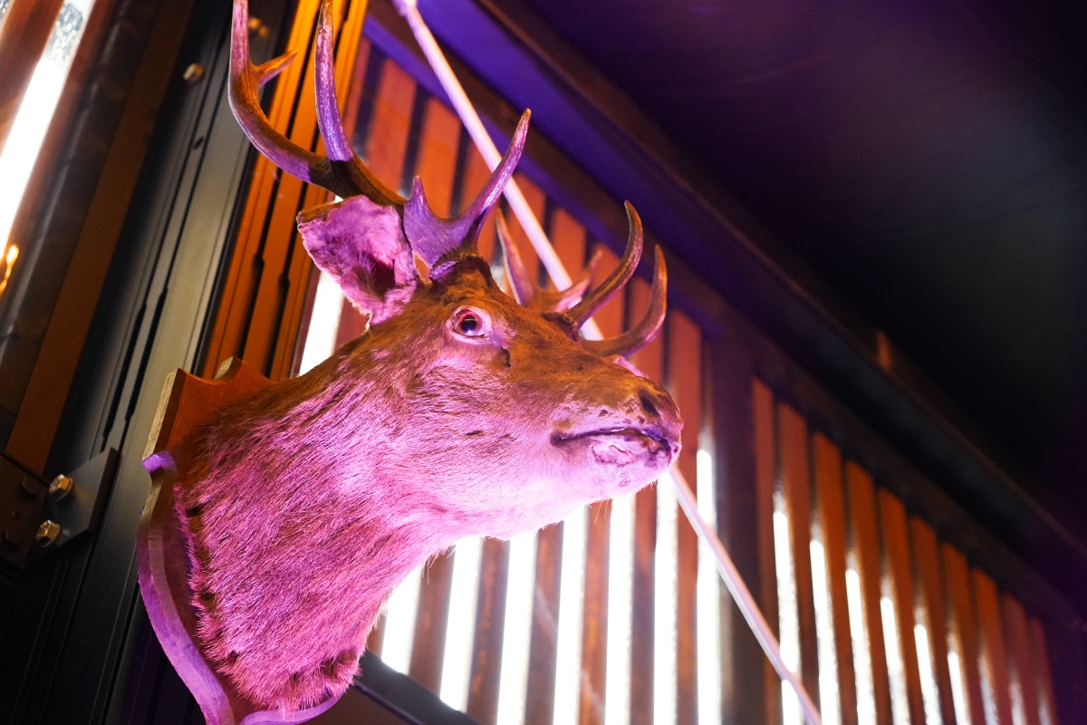 Holiday Inn Brussels Airport - Events Centre