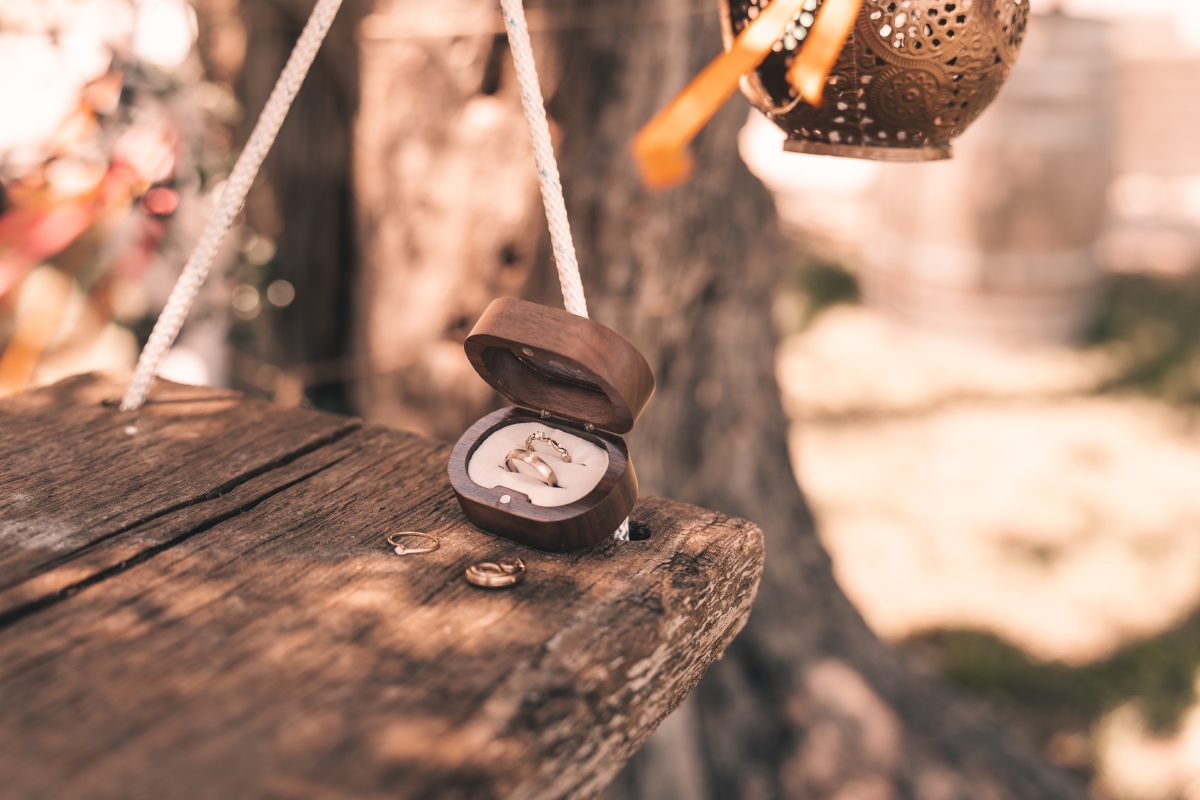 Ava Nova Photography