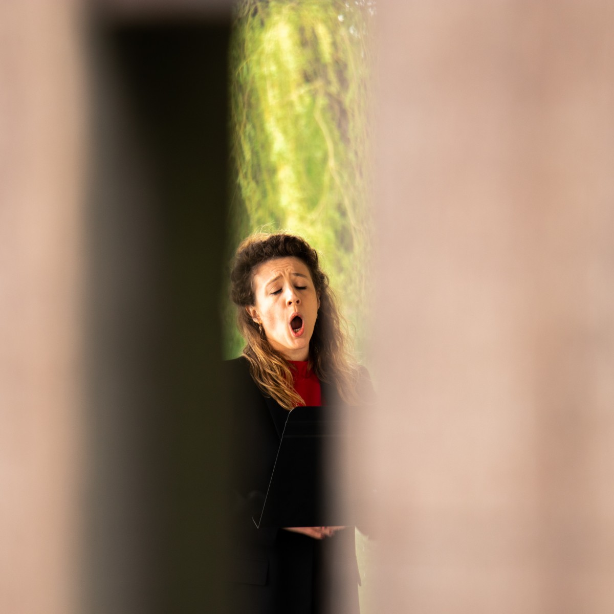 Sopraan Anne-Sophie Lermyte