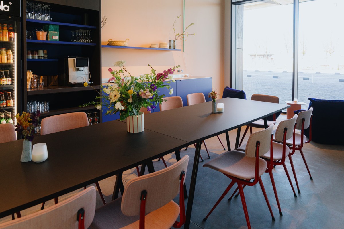 Zelda&Zorro Antwerpen