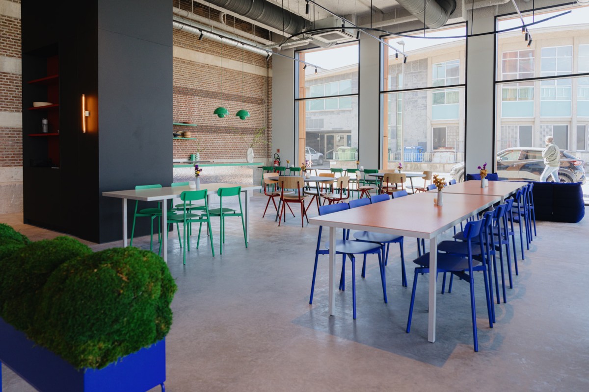 Zelda&Zorro Antwerpen