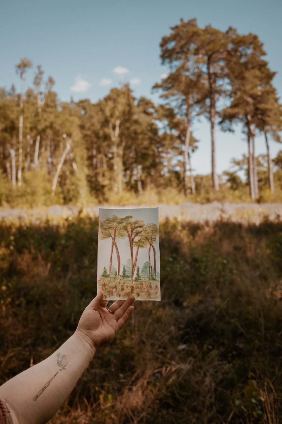 Emerald and Poppy Live illustraties