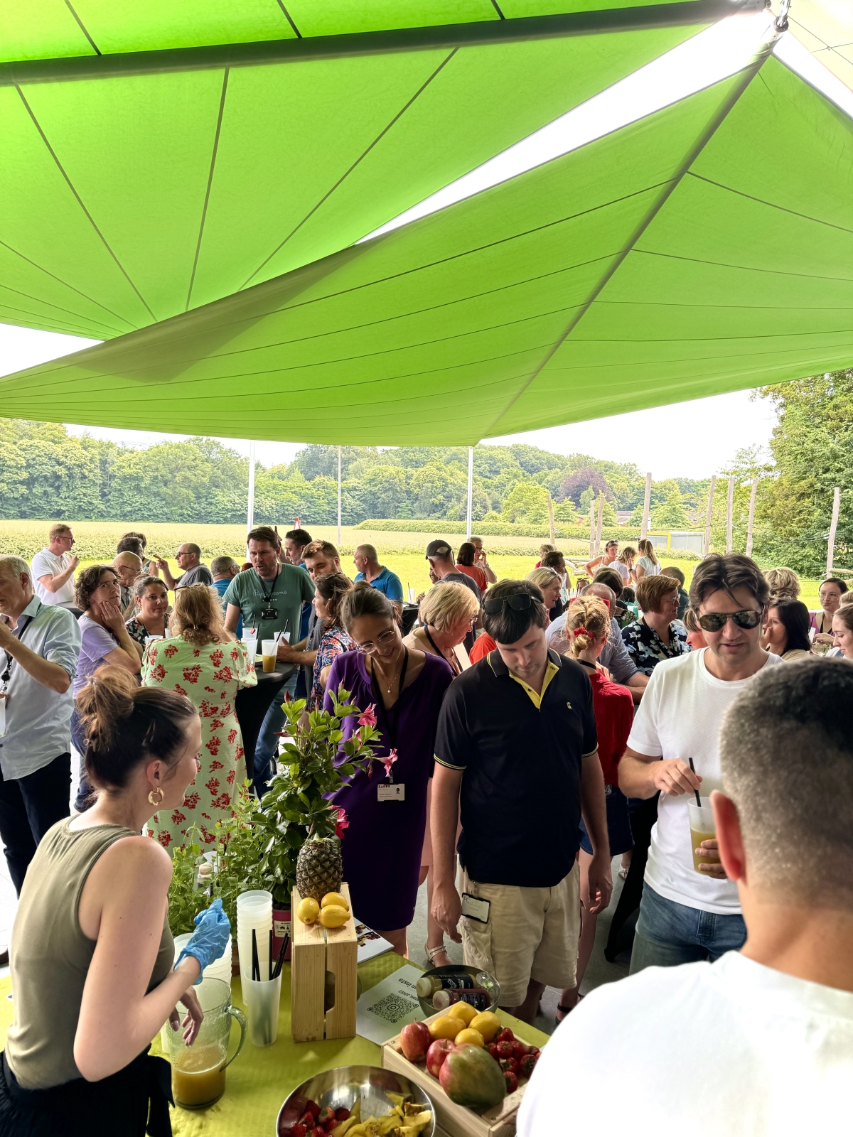 Boshi Juices en Mocktails