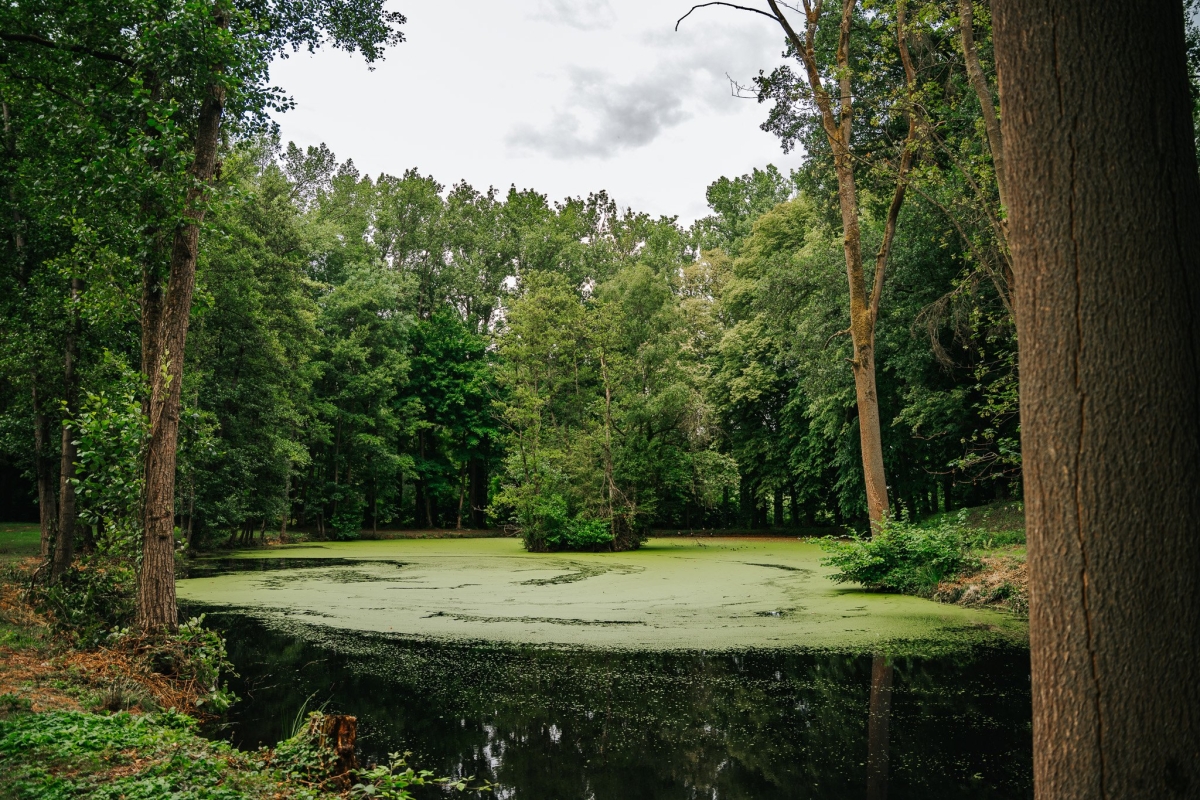 Kasteel van Zuurbemde