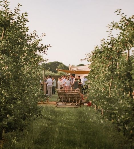 Corso Events boomgaard kijkend op trouwfeest