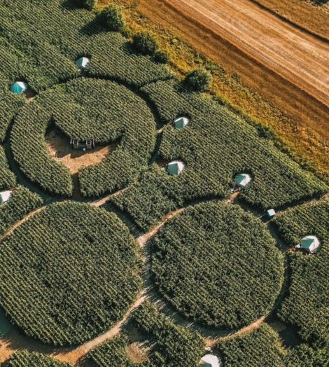 Trouwlocatie tussen de maïsvelden bij Maïsterplan