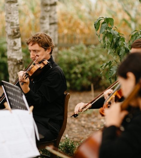 Violist speelt op trouwceremonie